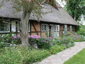 Schöne Ferienwohnung in Reddelich, Reddelich